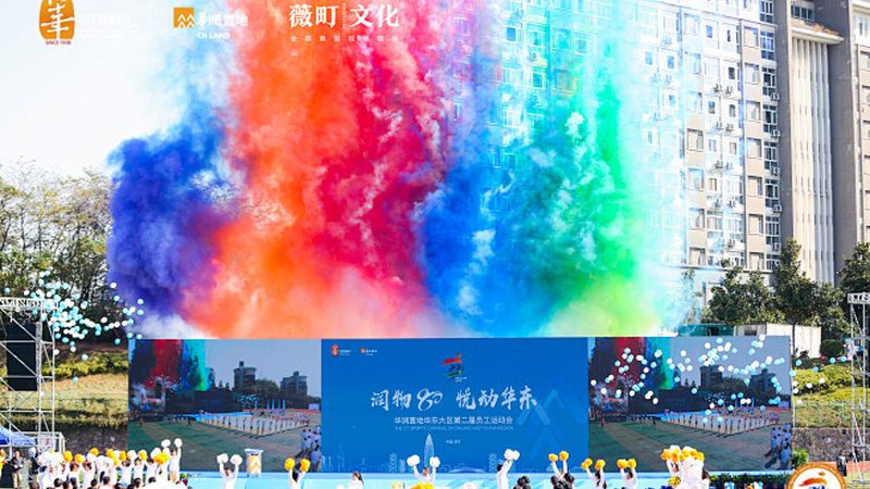媒介投放方案：内容矩阵与流量分发的关键要素